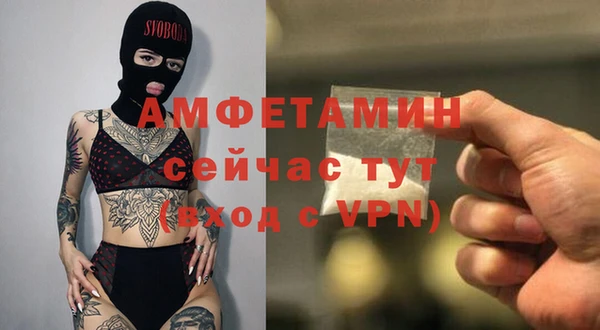сатива Беломорск