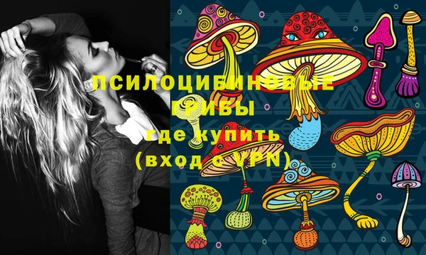 бутират Богданович